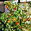 Casa de Mama Cusco 2-The Ecohouse