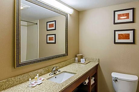 King Suite - Accessible/Non-Smoking