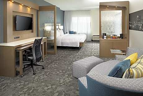 Executive King, Executive Suite, 1 King, Sofa bed