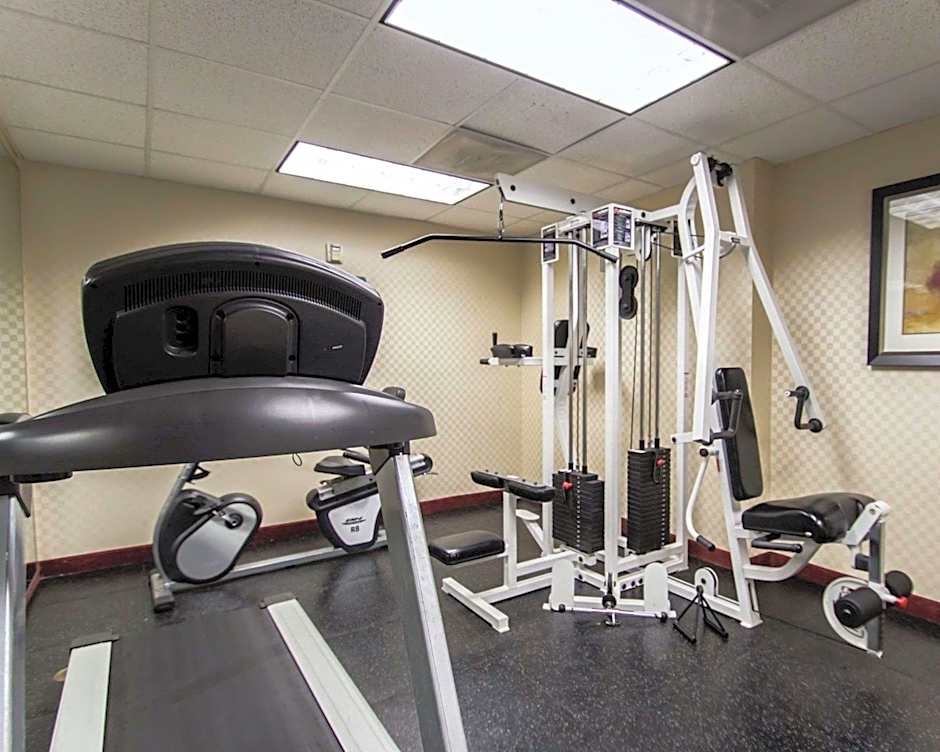 Comfort Inn & Suites Maingate South