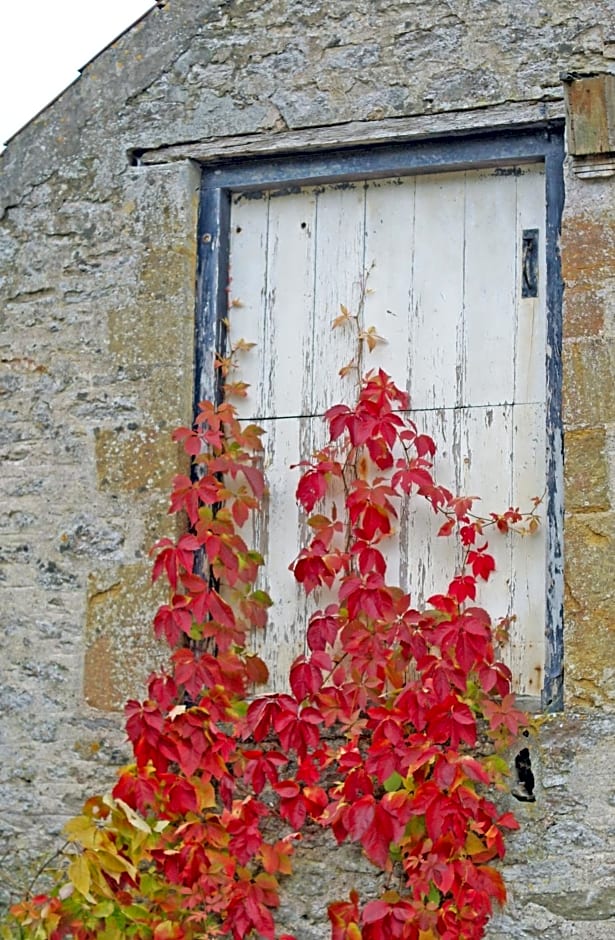 Westbury Cross House Bed & Breakfast