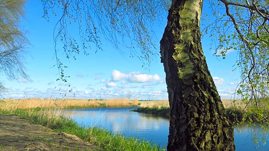 Domki Nad Starą Regą