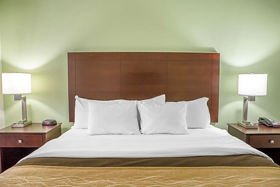 Comfort Inn Lexington South