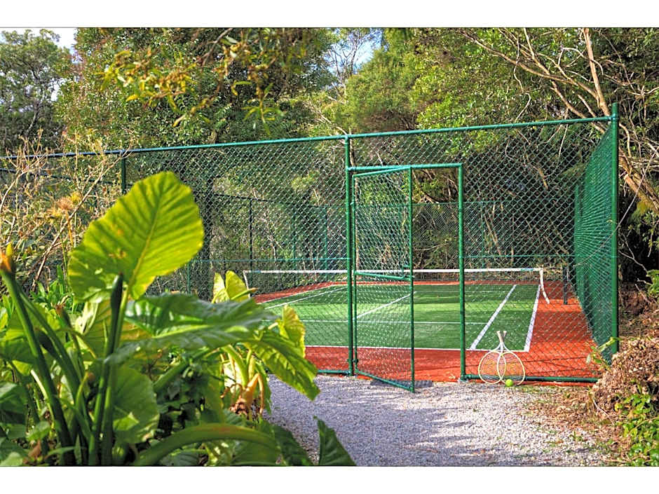 The Mouses House Rainforest Retreat