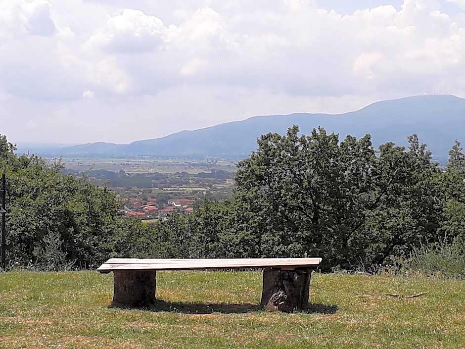 Antica Casa Dei Rassicurati