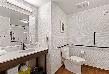 1 King Mobility Accessible Roll-In Shower Studio Non-Smoking