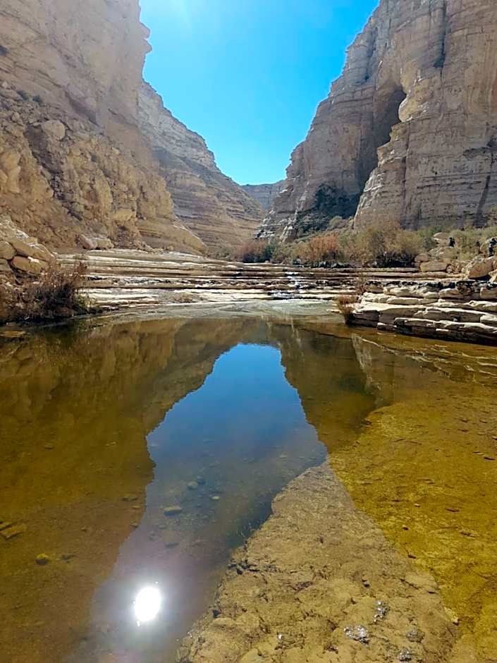 שיח מדבר לינה בנגב Burning Bush Negev