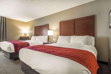 Comfort Inn Ottawa Starved Rock Area