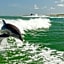 Holiday Inn Hotel & Suites Clearwater Beach South Harbourside By IHG