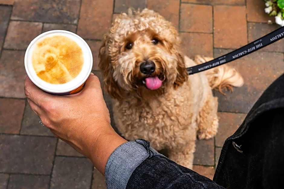 The Ritz-Carlton St. Louis