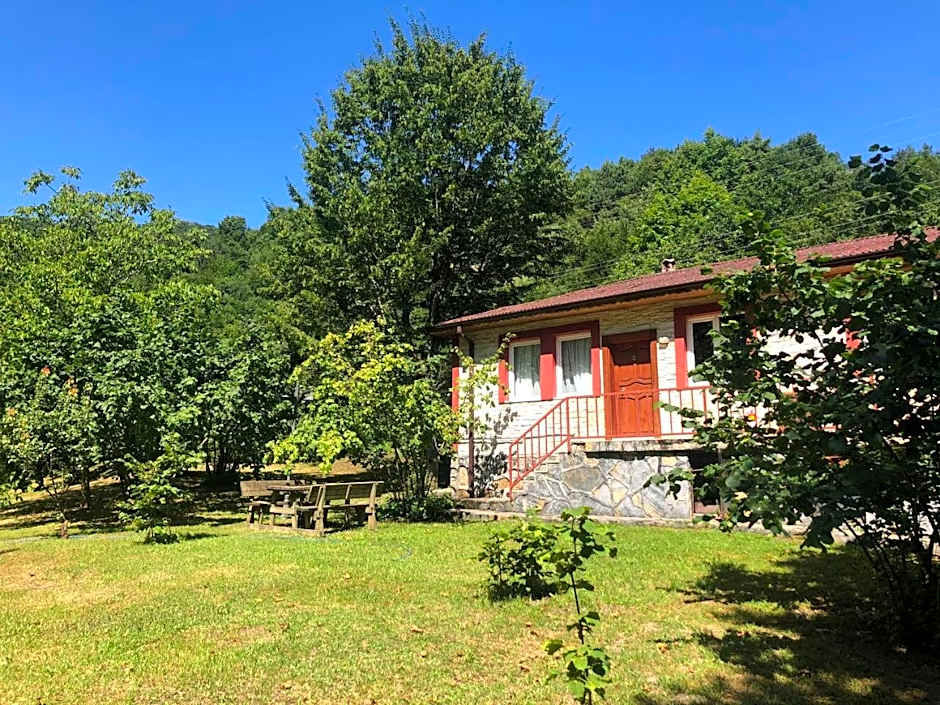 Feel & Live Hotel Villas Restaurant Sapanca