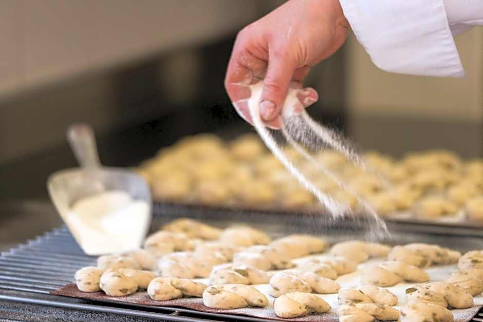 Alpen-Comfort-Hotel Central