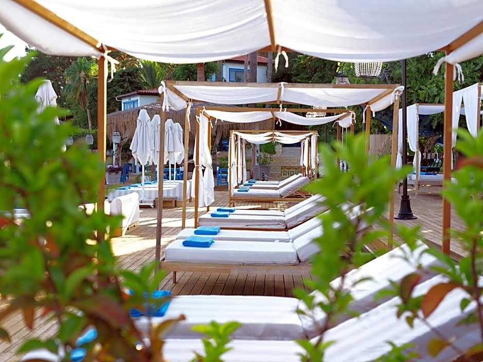 Sabrinas Haus - Adult Only +14