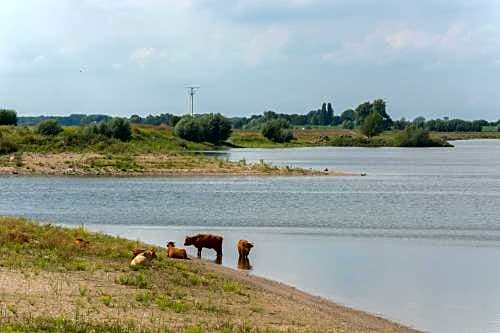 De Lentehof