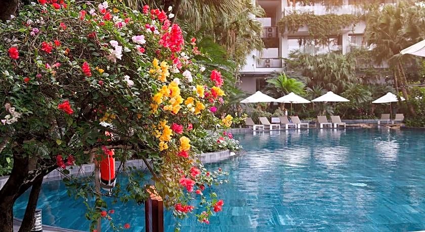 FOREST IN THE SKY - FLAMINGO DAI LAI