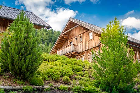 Five-Bedroom Chalet "Sennerin"