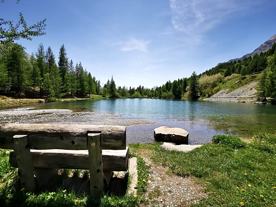 Les marmottes d Estenc