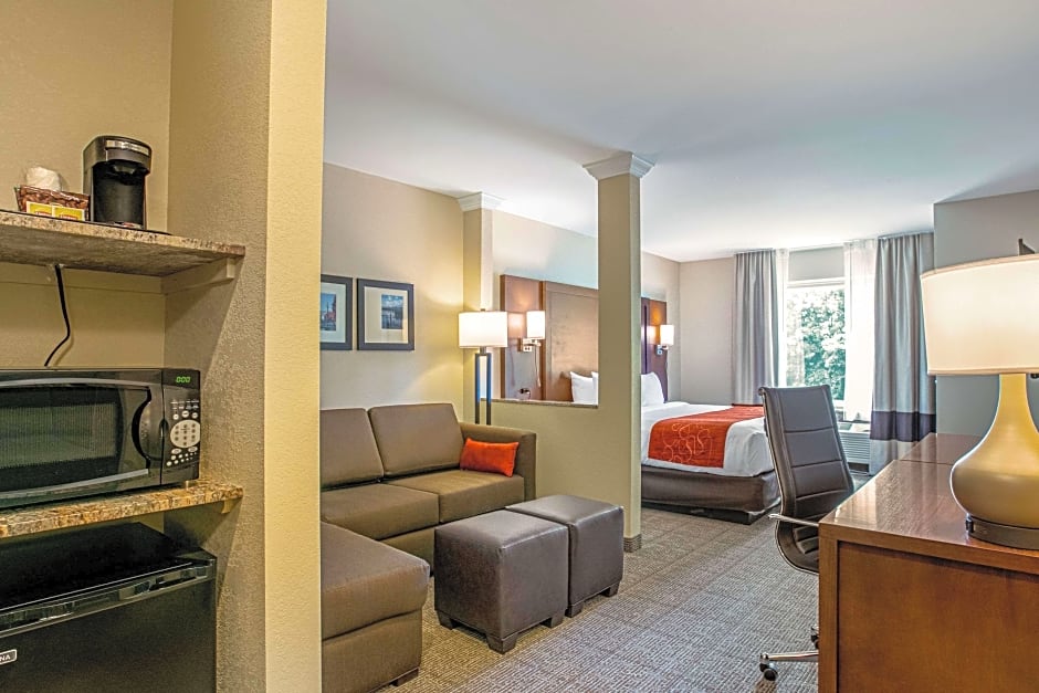 Photo 1 of 7 of 1 King Bed Suite, Accessible