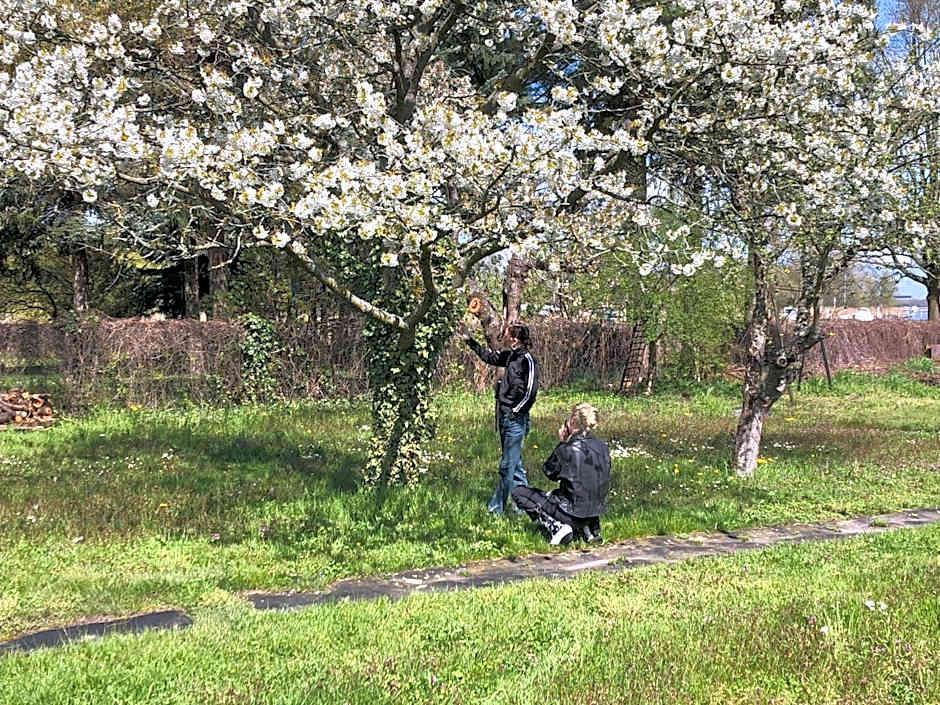 Hof Märkische Heide