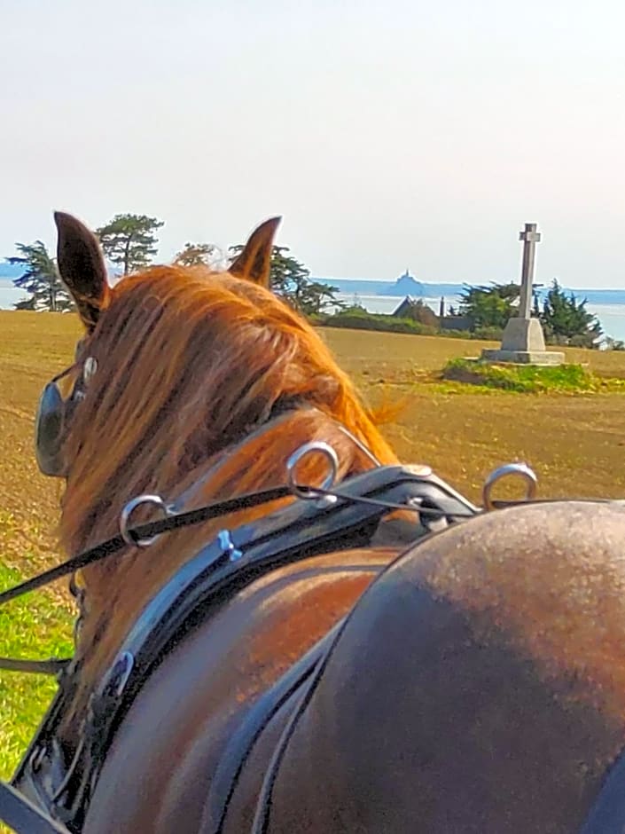 Chez Jollyjune, à moins d'une heure du Mont Saint Michel