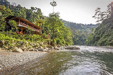Back to nature ecotourism