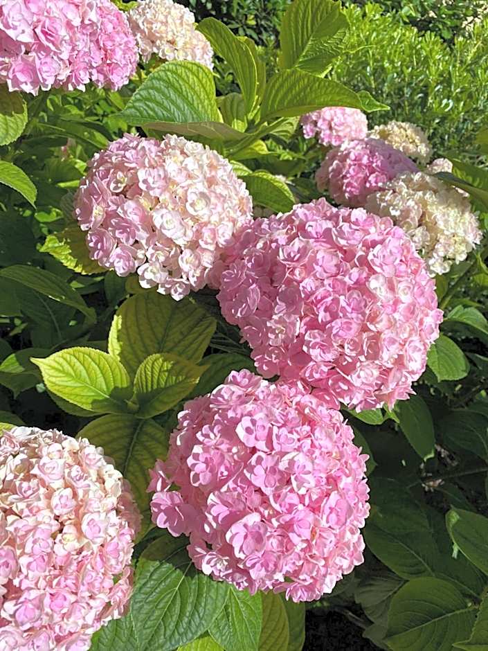 VeronaLago B&B Accessibile