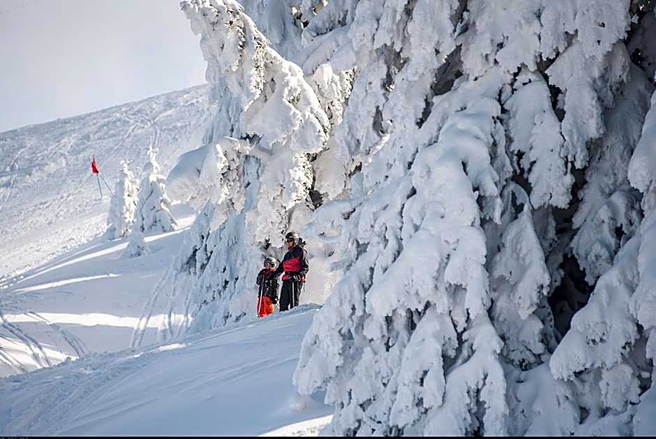 VVF Les Monts Jura