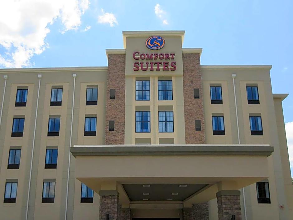 Comfort Suites Greenville South