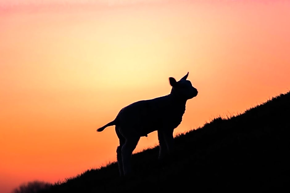 Bed en Bike Strûnen op Texel