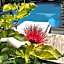 Gili Matiki
