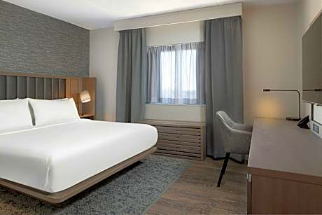 Executive Suite, King, Sofa bed