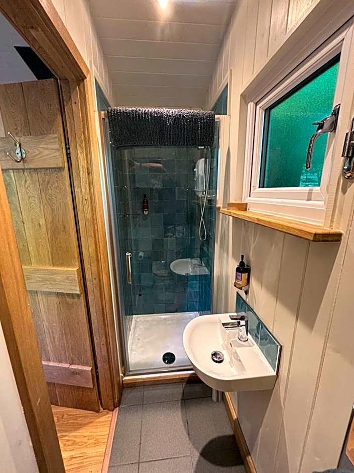 Shepherd’s delight