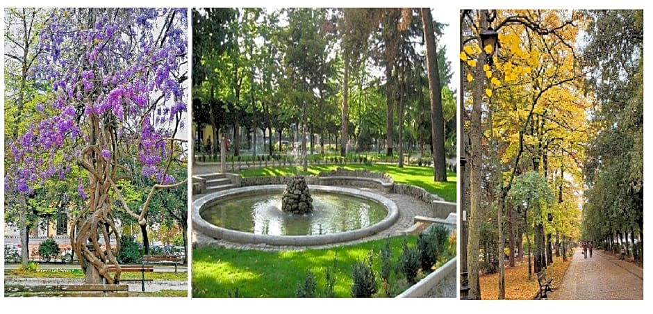 B&B Residence Armonia Sulmona