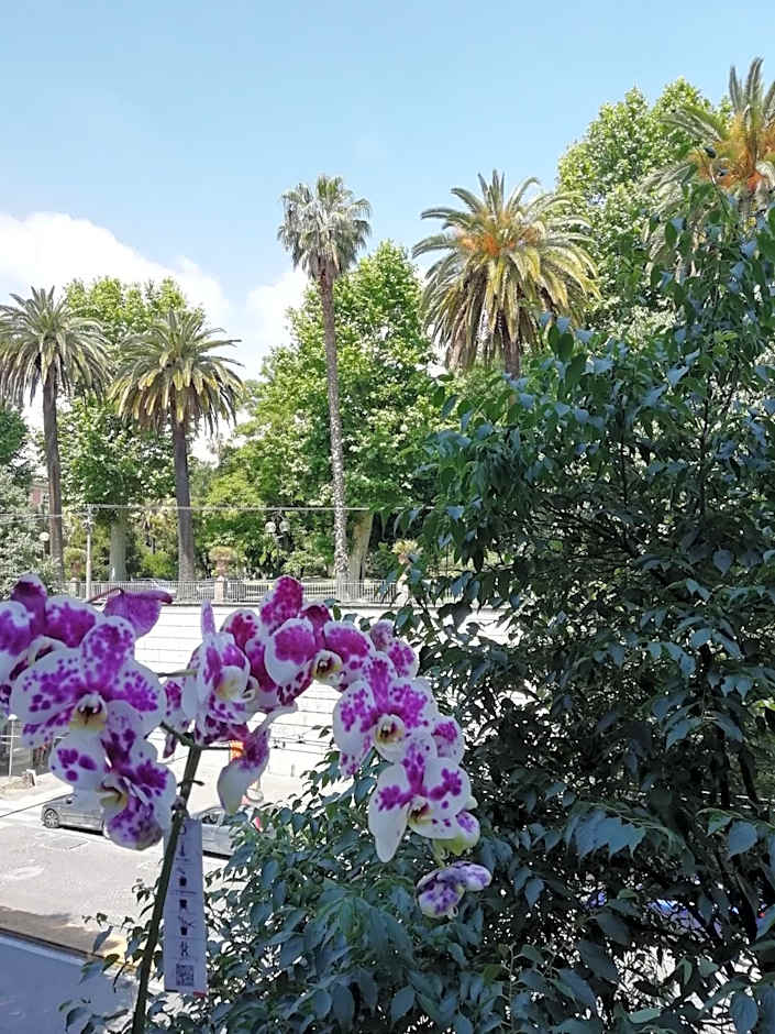 Botanic Charm – Naples, CO