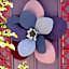 Bowral Road Bed and Breakfast