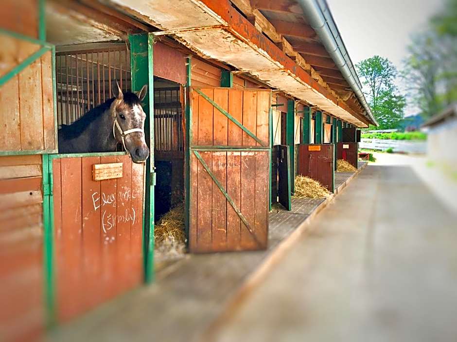 Penzion Pegas Depoltovice