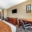 Comfort Inn & Suites Muncie