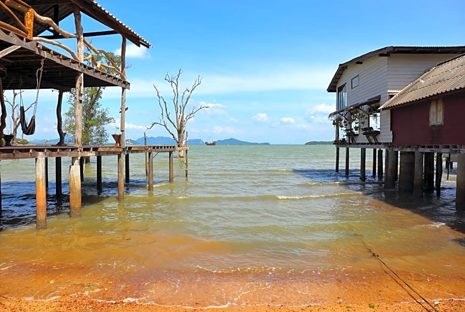 The mangrove old town