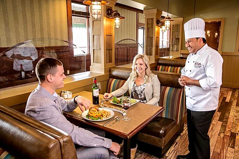 Chateau Nova Kingsway