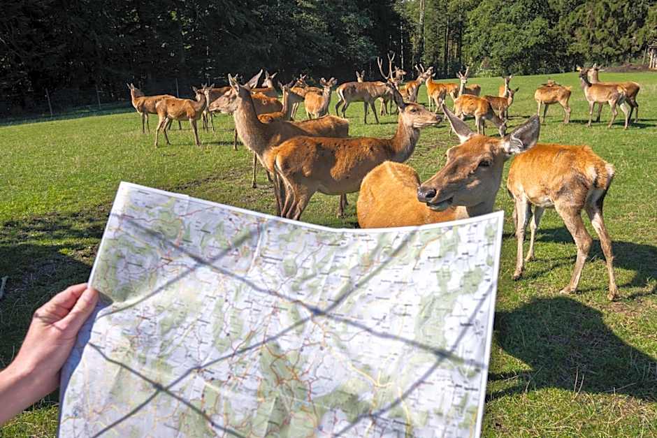 Berggasthof Höchsten