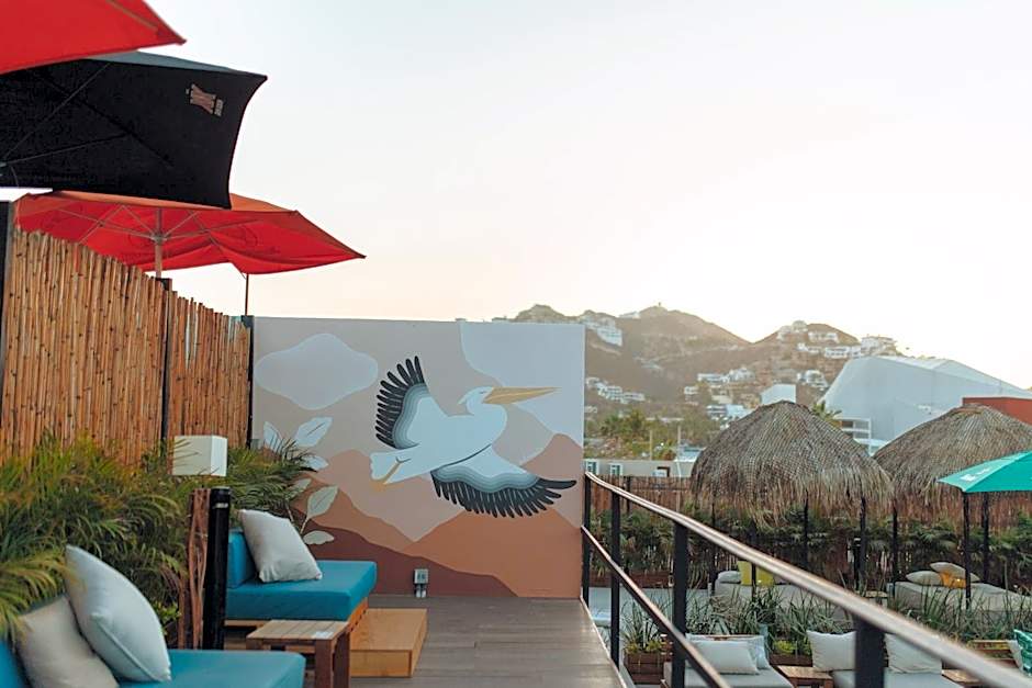 Mayan Monkey Hotel & Hostel Los Cabos