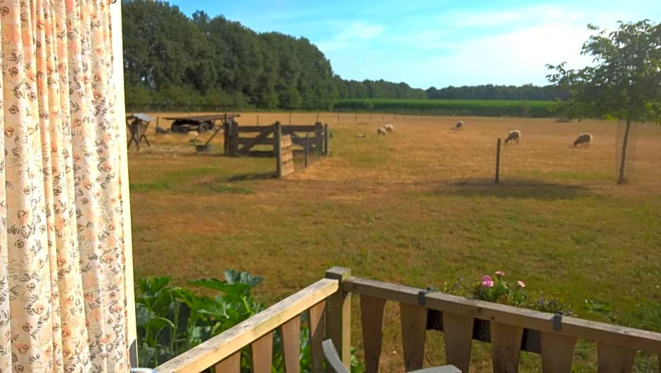 Pipowagen Lidewei Groningen Westerwolde unieke ligging met eigen tuin en vrij uitzicht over veld naar natuurgebied