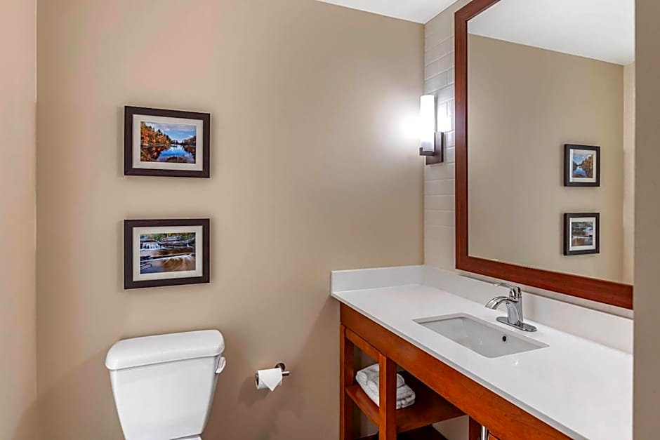 Comfort Inn & Suites Clarkston Pine Knob Area
