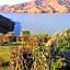 Port Levy B & B Christchurch