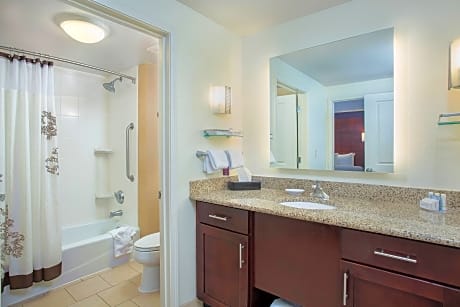 Suite, 1 Bedroom (1 King Bed and 1 Double Sofa Bed)