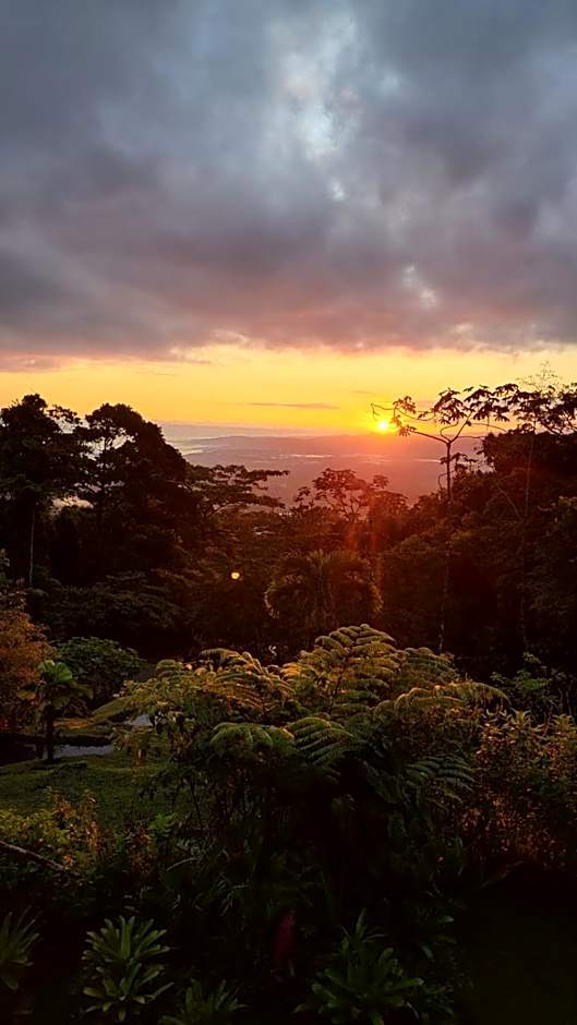 Birds & Breakfast Costa Rica