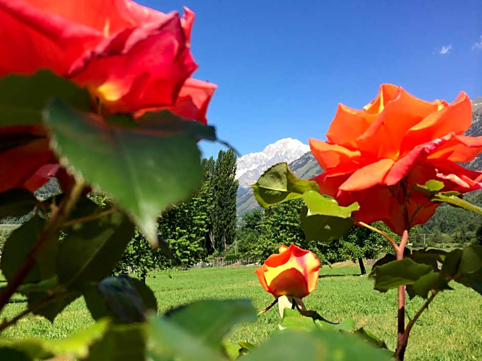 VillAmour Boutique Hotel & SPA