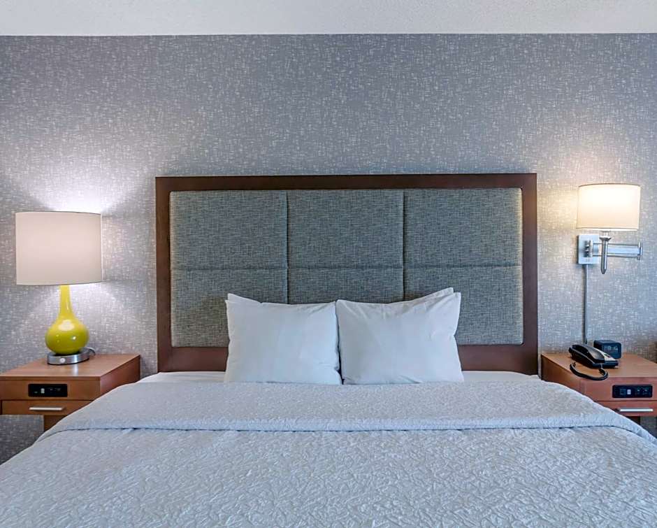 Hampton Inn By Hilton Salt Lake City-Downtown