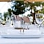 Kimpton Mas Olas Resort and Spa By IHG