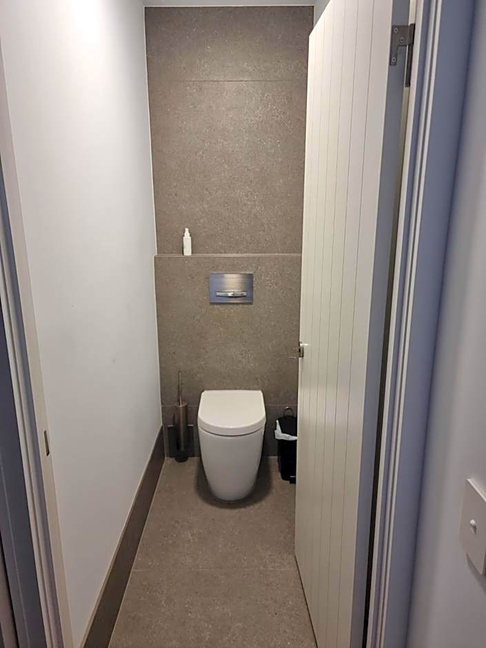 Pandanus Coolum Beach